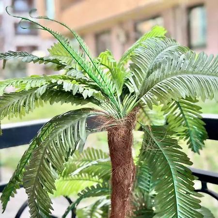 Menada Romance Marine 아파트