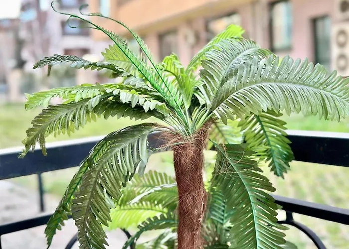 Menada Romance Marine Daire